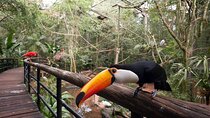 Brazil Adventure Tour - Complete Brazilian Falls