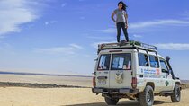 Fayoum Day Tour - Wadi El Rayan,Valley of the Whales,Magic Lake