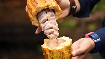 La Fortuna Waterfall And Chocolate Tour