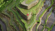 Bali Private Photographer & Drone
