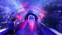 Full Day Antalya Aquarium & Gold Centre Visit with Old Town Tour 