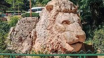 a Day from Fez to the Middle Atlas Mountains in a group