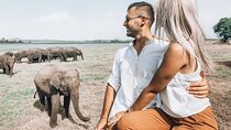 Majestic Mammals Of Sri Lanka: Whale & Elephant Safari Tour 