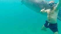 Private Whale Shark, Island hopping and Waterfall with Transport 