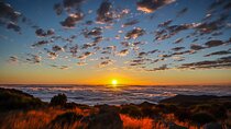 Private Sunrise Pico do Areeiro Half Day with easy levada walk