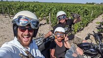 2 in 1 - Visit of Bordeaux and excursion in a vineyard