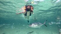 Reef Explorer Half Day Trip