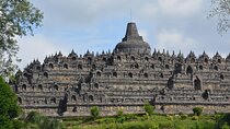 Merapi Sunrise, Borobudur Climb Up Access, and Prambanan Day Tour
