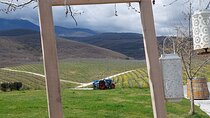 Thessaloniki to Naoussa, Wine Tasting Tour – Private Day Trip
