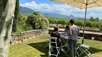 The Real Rioja Explore Tour - Private experience