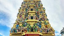 Cruise Passengers with Physical Challenges Explore Colombo by Car