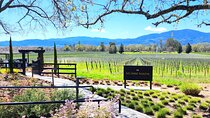 Sonoma and Napa Champagne Wine Private Tour Half Day 