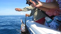 Private Sport Fishing – 27ft Proline | South Pearl Islands