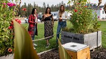 Kelowna E-Bike Bee Tour, Tastings, Organic Lunch & Audio Guide