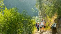 Morialta Wilderness and Wildlife Hike
