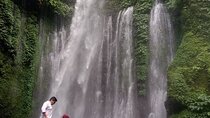Guided Waterfall Adventure: Sendang Gile & Tiu Kelep North Lombok