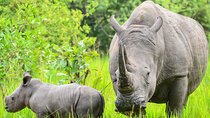 Explore Primates: 10 Days Safari Tour in Uganda