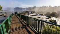 Airport IGU Round Trip & Iguassu Falls Brazil & Macuco Safari 