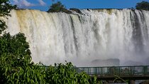 Airport IGU Round Trip & Iguassu Falls Brazilian side & Bird Park 