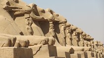 Sunset Felucca Boat Ride & Visit the Karnak, Luxor Temples