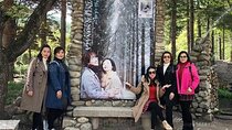 Nami Island & Nearby Attractions : Charter Van Tour With Driver