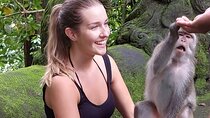 Full-Day Bali Island Tour Including Mt Batur And Sacred Monkey Forest Sanctuary
