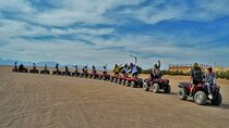 Full Day Quad Bike Safari with Bedouin Dinner and Show from Sharm