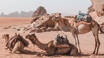 One Night Luxury Desert Tour from Fez to Merzouga 