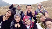 South and West Jeju Island Private Tour with Lunch in jeju island