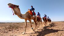 Full Day Tour in Atlas Mountains From Marrakech 