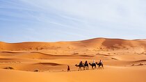 3 Days to Merzouga's Sahara: from fez to Marrakech or return fez