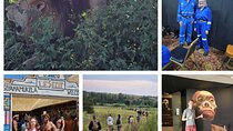 Private Johannesburg and Pretoria Tour 