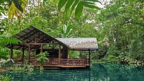 EcoTermales Hot Springs & Arenal Volcano Full Day from San José