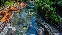 EcoTermales Hot Springs & Arenal Volcano Full Day from San José