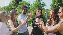 Wine Tasting at Schönbrunn Palace with optional Palace Ticket