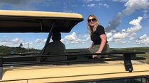 Full-Day Lake Mburo National Park Safari with Boat trip (2 day option available)