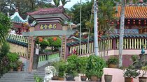 Nature, Photoshoot, Eateries and Culture Experience with Locals