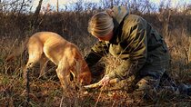 Private Truffle Hunting in Slovenia with meal - Zdenko Tartufi