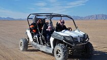  Bedouin Village & Buggy Car Safari Desert Tour in Sharm ElSheikh