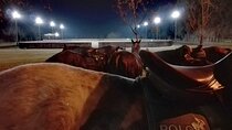 Polo Under the Stars and Argentine BBQ Evening Venue from Buenos Aires