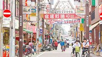 Tokyo Local Private Tour