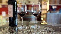 Half day Wine Tour in Côteaux Aix from Aix en Provence