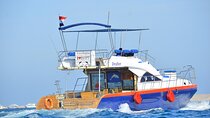 Private Boat Trip Up to 8 Pax with Lunch & Transfer from Hurghada