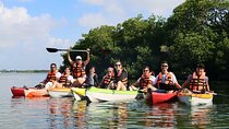 Kayak Activity in Nichupte Lagoon opt. Roundtrip transportation 