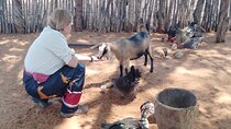 African Village Tours