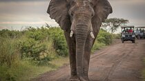 5-Day Garden Route Shared Tour from Cape Town including Addo National Park