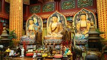 Beijing Summer Palace and Buddhism Theme Teahouse Visit with Meal and Boat Ride