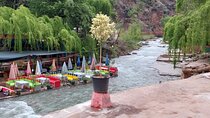 Excursion Les Trois Vallées-Quad Dromedary and dinner show