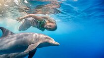 Dolphin House Sea Trip with Water Sport and Lunch 