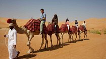 2-Hours Desert Camel Ride Experience – Sharm El Sheikh